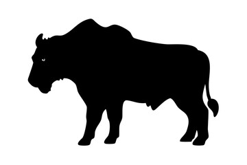 Bear silhouette of Bison