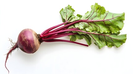 Fresh Beetroot with Vibrant Green Leaves Isolated on White
