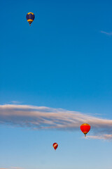 Hot Air Balloons Floating in the Clear Blue Sky