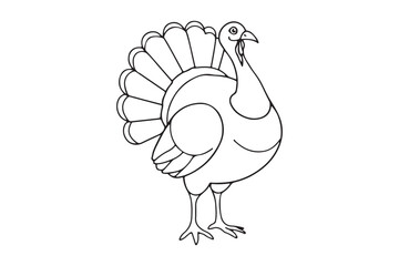 Turkey outline design 