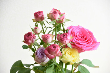 カラフルなばら