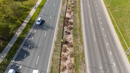 Aerial View of Highway with Tree Planting on Median