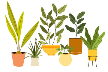 Potted house plants composition. Home and office interior houseplants. Modern green leaf, succulent, cactus decoration in planters, flowerpots. Flat vector illustration isolated on white background