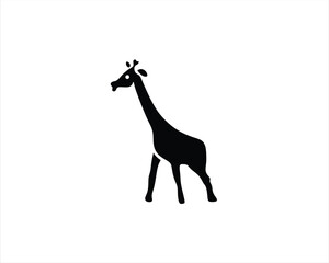 giraffe illustration