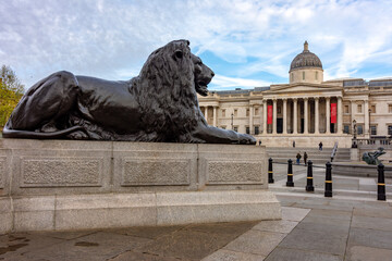 Trafalgar square lion at Nelson column with National Gallery at background, London, UK