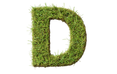 Alphabet D made of Grass isolated on white or transparent background