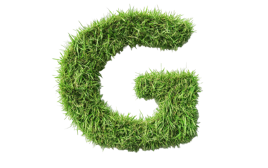 Alphabet G made of Grass isolated on white or transparent background