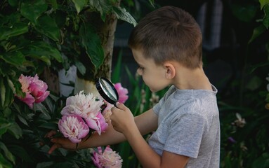 A child looks through a magnifying glass against the background of nature.child.