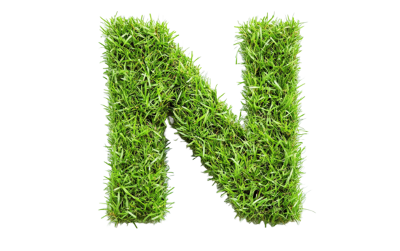  Alphabet N made of Grass isolated on white or transparent background - Powered by Adobe