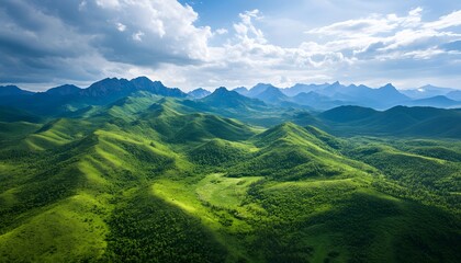 Obraz premium Bird eye view of the dense forested landscapes of the Khangai Mountains, with vibrant green tones under the bright summer sky, in 4K resolution