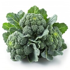 Fresh Green Broccoli Vegetables on White Background for Cooking