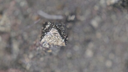 Macro photo of pyramid shaped crystals 2