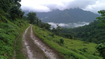 Winding Mountain Road Through Lush Green Forested Hills