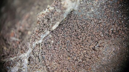 Macro photography of a rock formation