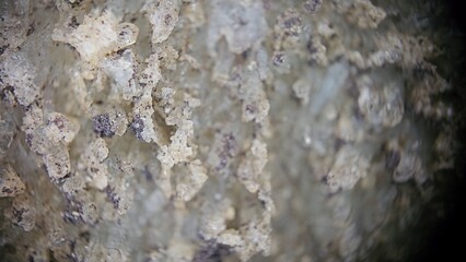 Macro photography of a rock formation 1