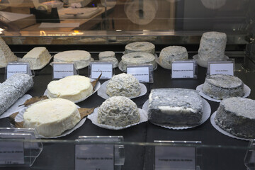 Fromages de chèvre dans une vitrine de crémerie