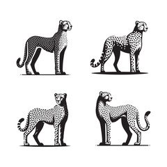 4 Set of Black Standing Cheetah Silhouettes Isolated on White Background