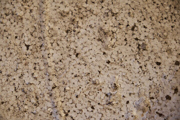 Background texture of foam plastic