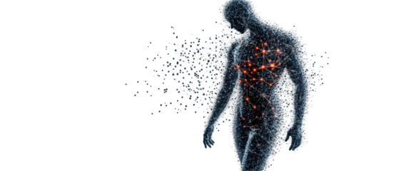 Digital representation of a human form. transparent background