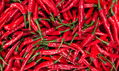 Vibrant Red Chili Pepper Background