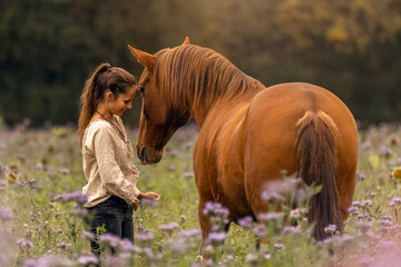 A woman and her Lusitano horse cuddling and interacting on a wildflower meadow in autumn outdoors