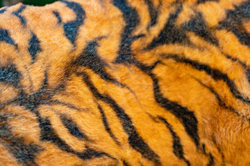 A close up of a tiger's fur with black and orange stripes. The fur is fuzzy and has a lot of texture