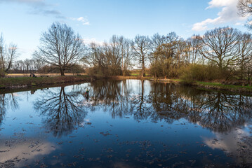 Pond with trees around mirroring on water ground during springtime evening - Prutnik pond in CHKO Poodri in Czech republic