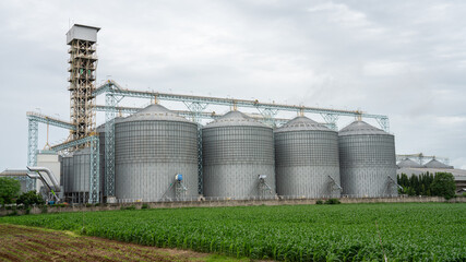 silos granary elevator with seeds manufacturing plant for processing. Silos in rye corn or wheat...