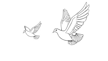 black and white dove pictures are used for coloring