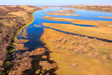 A river with a lot of vegetation and a few trees