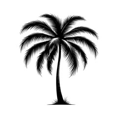 Obraz premium tal palm tree silhouette black color vector
