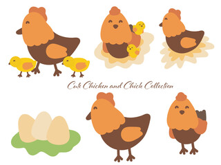 Cute Chicken and Chick Illustrations