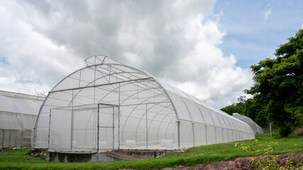 smart greenhouse vertical plant of hydroponics farm for background