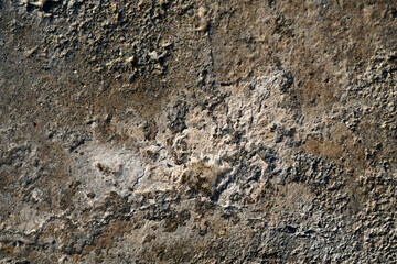 Dirty uneven old distressed concrete floor. Rough, grunge and wet surface texture background. 