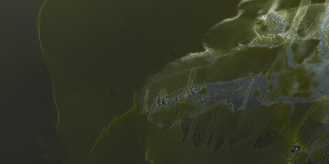 Abstract Fluid. Abstract Fluid Pattern.