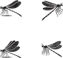 4 Set of Black Dragonfly Silhouettes Isolated on White Background