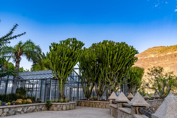 Fototapeta premium A garden with a greenhouse and a few trees