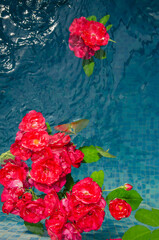 Fototapete bei efototapeten.de bestellen   