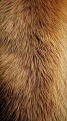 Fototapeta premium Close-up of soft, textured fur in warm shades of brown.