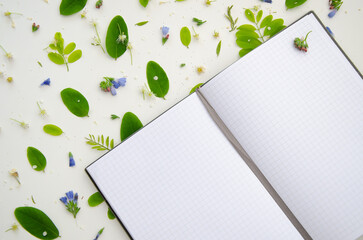 Opened note book mockup with green acacia leaves and flowers, petals and buds.