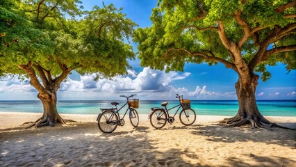 Fototapeta premium Sunny Beach Bicycles: Panoramic View of Three Bikes Parked Under a Tree