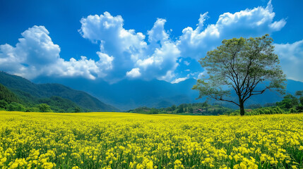 Obraz premium Blue Sky and Flowers Background Wallpaper