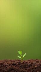 A young sprout emerging from soil symbolizing birth and life for Tu B'Shvat celebration, background,
