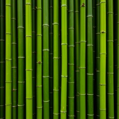 Fototapeta premium High-resolution photo of dense green bamboo stalks. Smooth textures and vibrant shades create a lush, symmetrical, and organic composition.