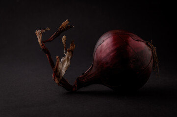 Rote Zwiebel_03