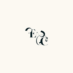 Obraz premium bold and hairline initial wedding monogram elegant CE fancy curve logo letter