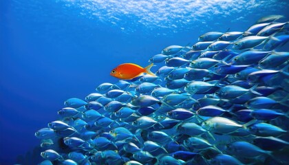 A single, brightly colored fish swimming against a school of uniform-colored fish, symbolizing individuality and nonconformity