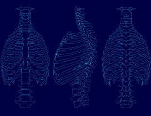 Set of contour Human chest skeleton vector illustration