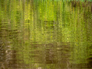 An abstract painting of nature. Created by the Amazon, the light and the trees and plants of the rainforest.