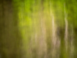 An abstract painting of nature. Created by the Amazon, the light and the trees and plants of the rainforest.